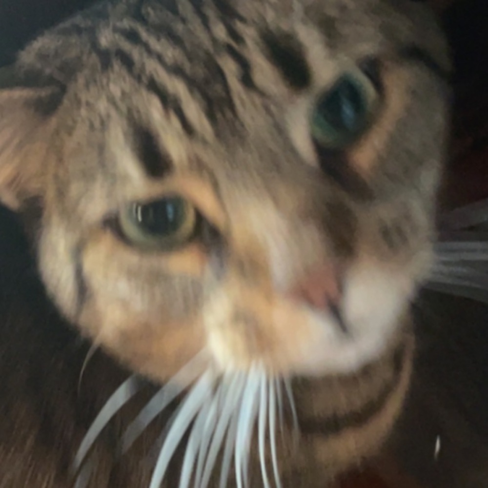 Meet your Posher, Ari